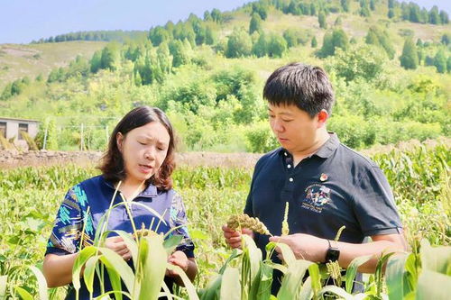 王浩 铺就乡村振兴路，行动书写使命担当