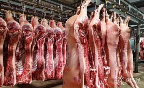 农副产品货源充足销售火爆 苏州市民冬至餐桌丰盛