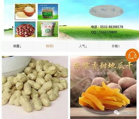 岁末年初砥砺前行 田庄镇电商发展助力农副产品销售