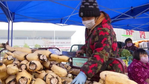 滞销农副产品直销进城 新鲜便宜还放心，市民农户双赢新探索